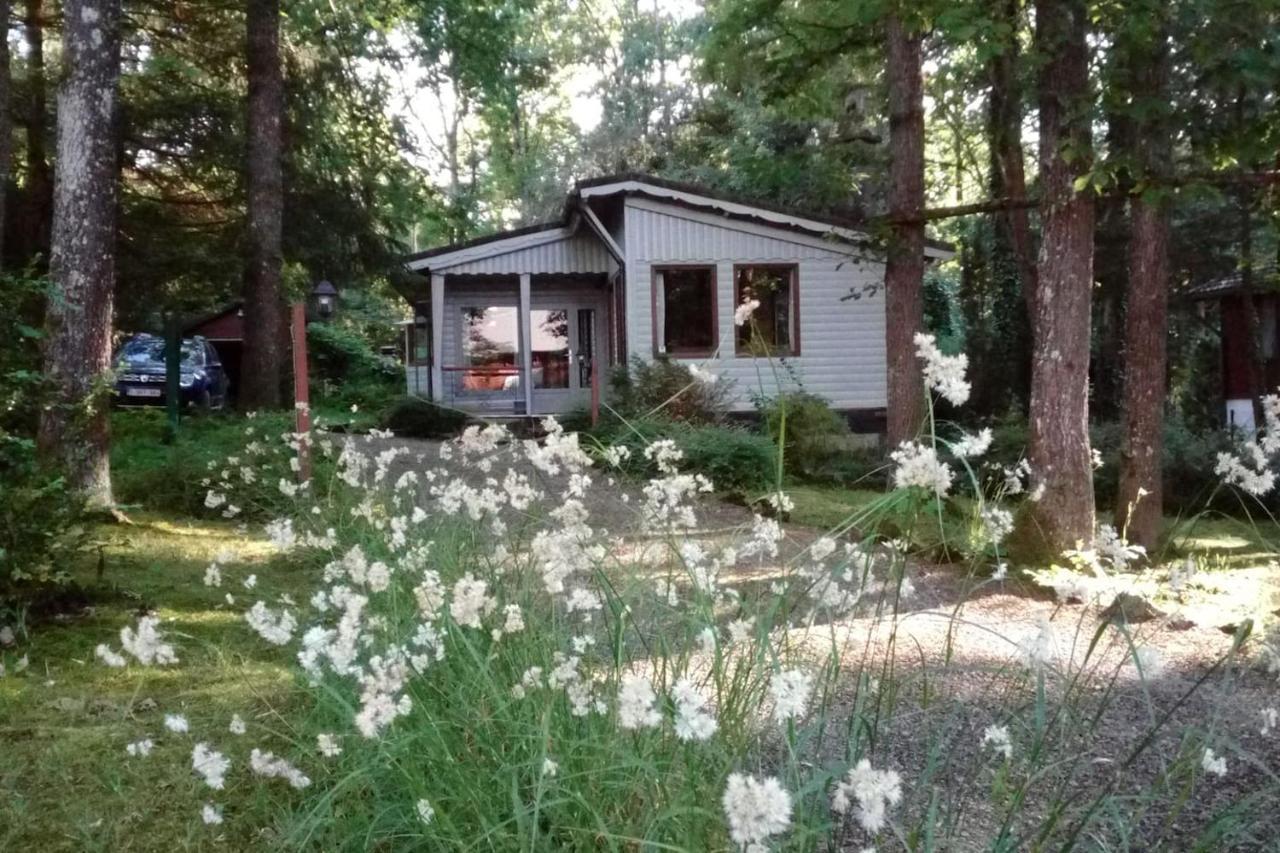 Chalet Siesta Is Rust & Natuur In Durbuy - Barvaux-Sur-Ourthe מראה חיצוני תמונה