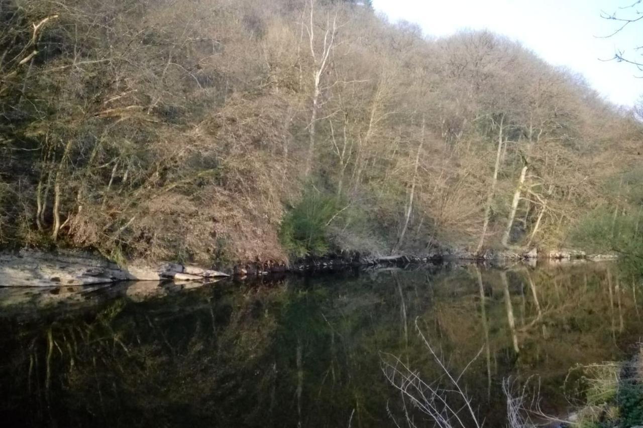Chalet Siesta Is Rust & Natuur In Durbuy - Barvaux-Sur-Ourthe מראה חיצוני תמונה