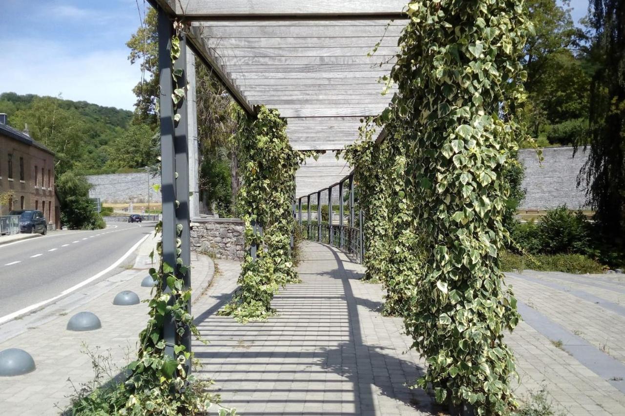Chalet Siesta Is Rust & Natuur In Durbuy - Barvaux-Sur-Ourthe מראה חיצוני תמונה