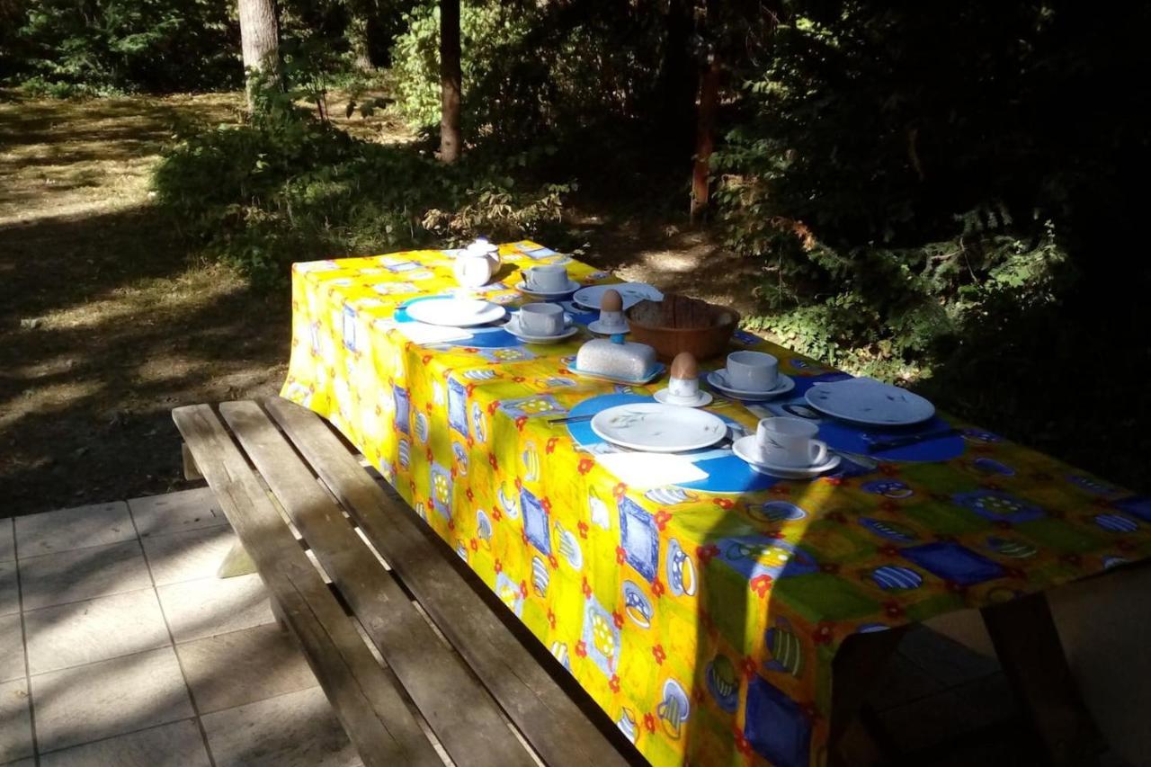 Chalet Siesta Is Rust & Natuur In Durbuy - Barvaux-Sur-Ourthe מראה חיצוני תמונה